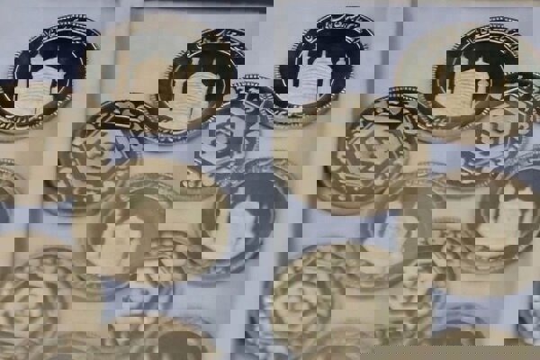 ۲۰ ربع سکه سرقتی در پاوه کشف شد