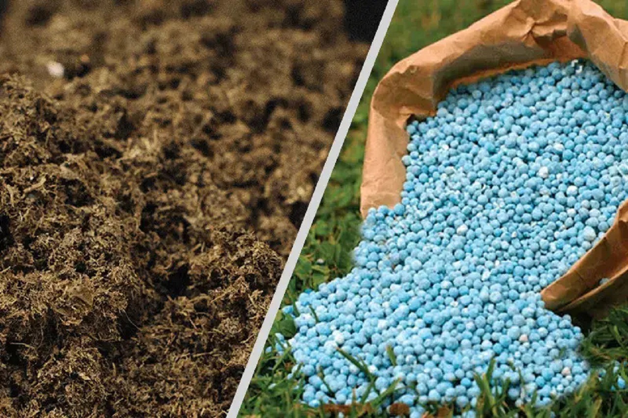 توزیع ۱۰۱ هزار تن کود شیمیایی در کردستان