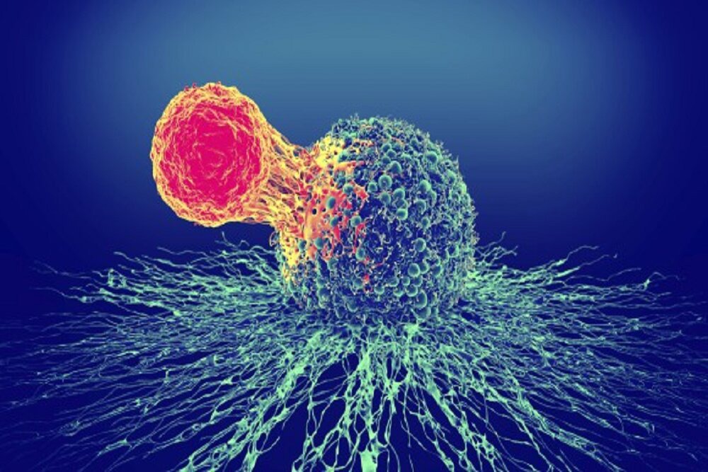 انکار بیماری مانع مهم درمان به‌موقع سرطان است