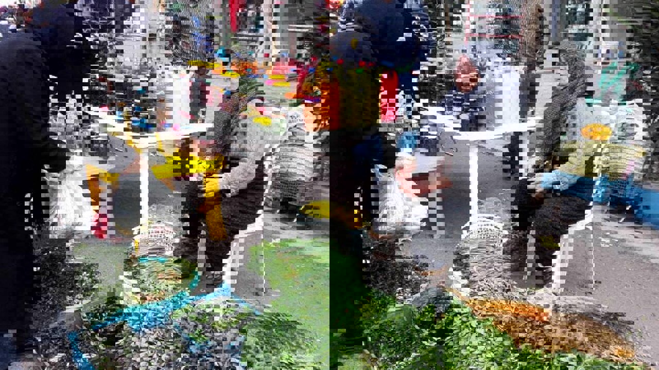 مدیر تعاون روستایی کرمانشاه: حذف دلالان هدف ماست