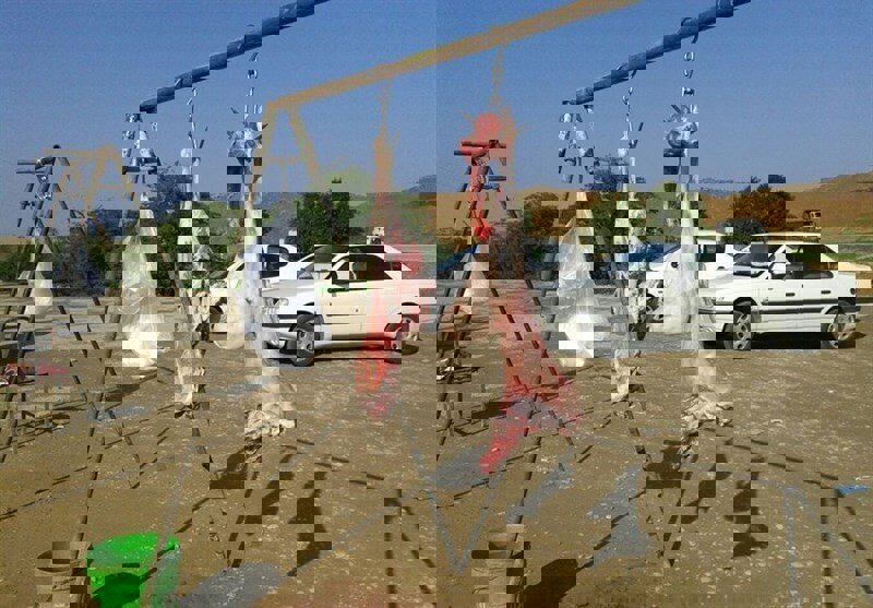 مدیرکل دامپزشکی کرمانشاه: مقابله با کشتار غیرمجاز اولویت ماست