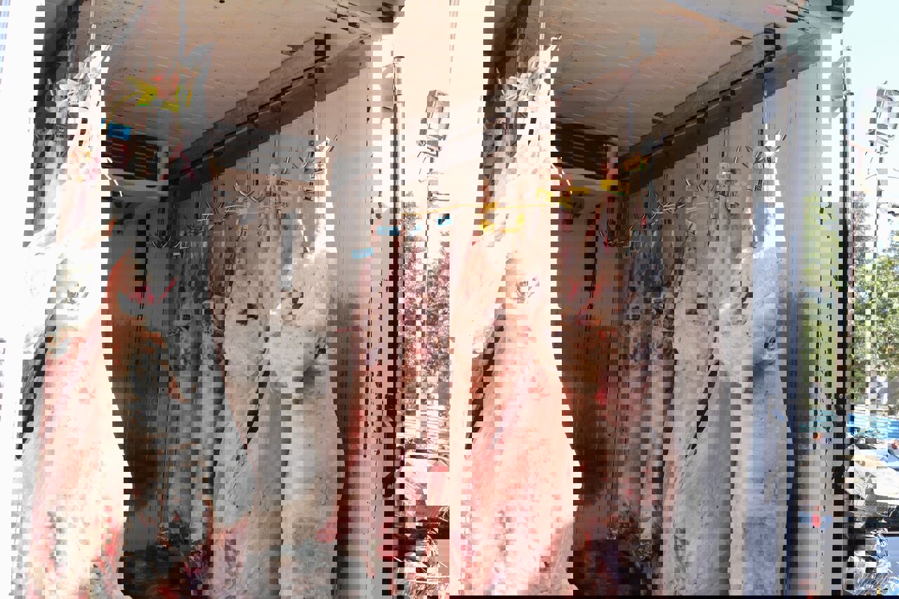 سمیعیان: نظارت‌های نوروزی دامپزشکی در کرمانشاه تشدید می‌شود