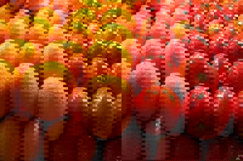 توزیع میوه عید از اواخر اسفند در کرمانشاه آغاز می‌شود