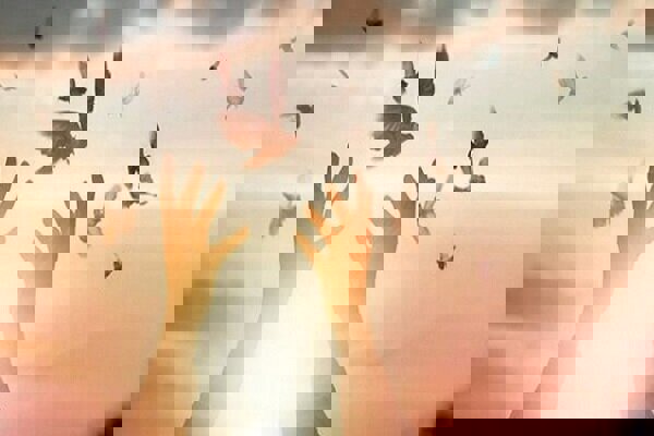 آزادی زندانی نیازمند با همت مرکز نیکوکاری امام علی(ع) کوزران