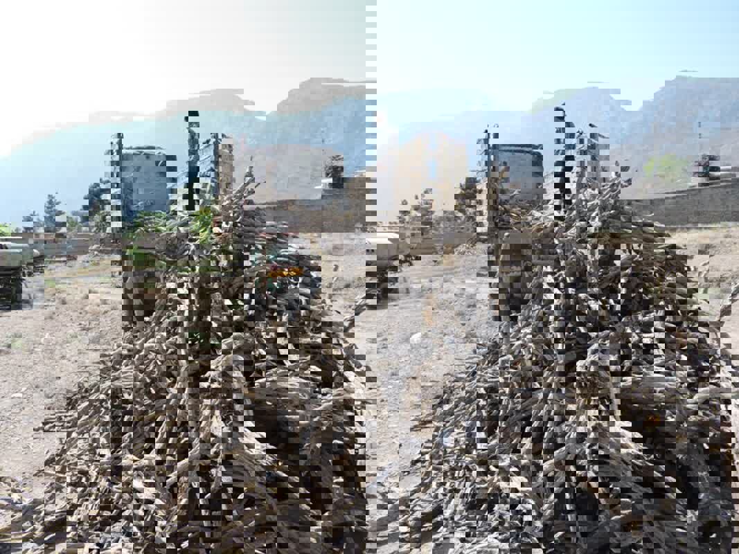 کشف ۱۵ تن چوب فاقد مجوز در سنقر و کلیایی