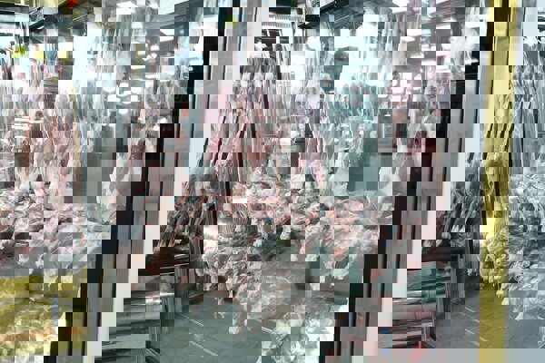 عرضه گوشت و مرغ با قیمت ۱۰ تا ۱۵ درصد زیر بازار در پاوه