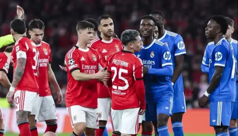 اعتراف پرستیانی؛ به وینیسیوس گفتم میمون!