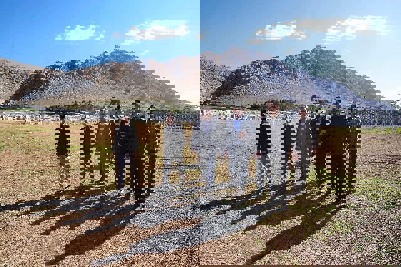 حبیبی: پروژه‌های خورشیدی باید پیش از پیک مصرف وارد مدار شوند