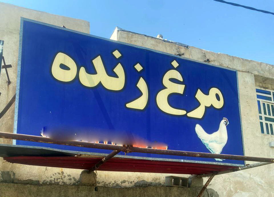 تعطیلی و پلمب انبارهای غیرمجاز مرغ زنده در کرمانشاه