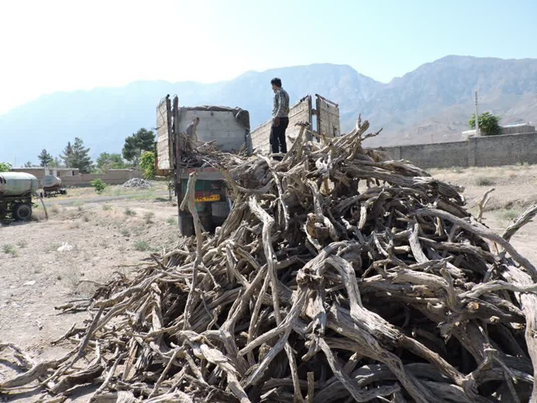 کشف ۱۰ تن چوب فاقد مجوز در کرمانشاه