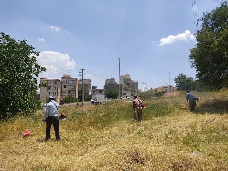 خیز شهرداری سنندج برای حفاظت از پارک‌های جنگلی در برابر آتش‌سوزی