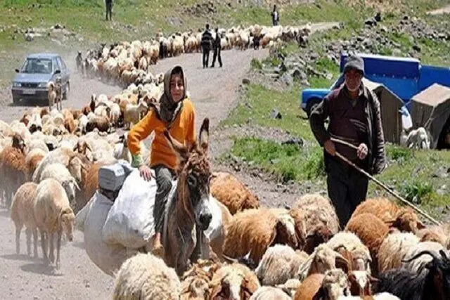 آغاز کوچ بهاره عشایر کرمانشاه