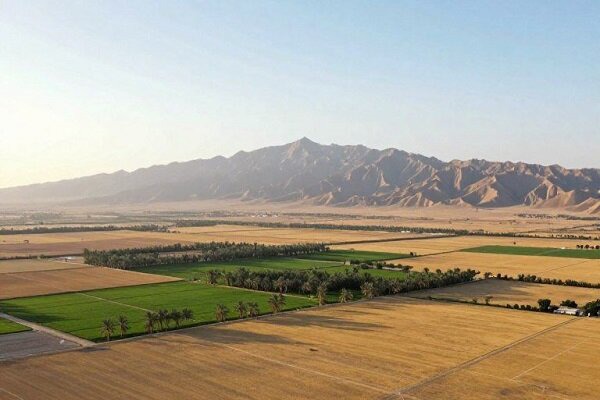 برخورد قاطع با ساخت‌وسازهای غیرمجاز اراضی ملی در کردستان