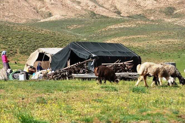 کاظمی: ۳۳ تانکر آبرسانی برای خدمت‌رسانی به عشایر کرمانشاه اختصاص یافت