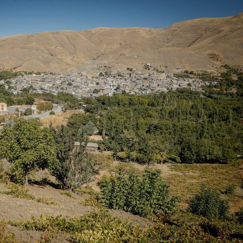 شناسایی ۲ هزار هکتار برای توسعه باغات دیم در کردستان