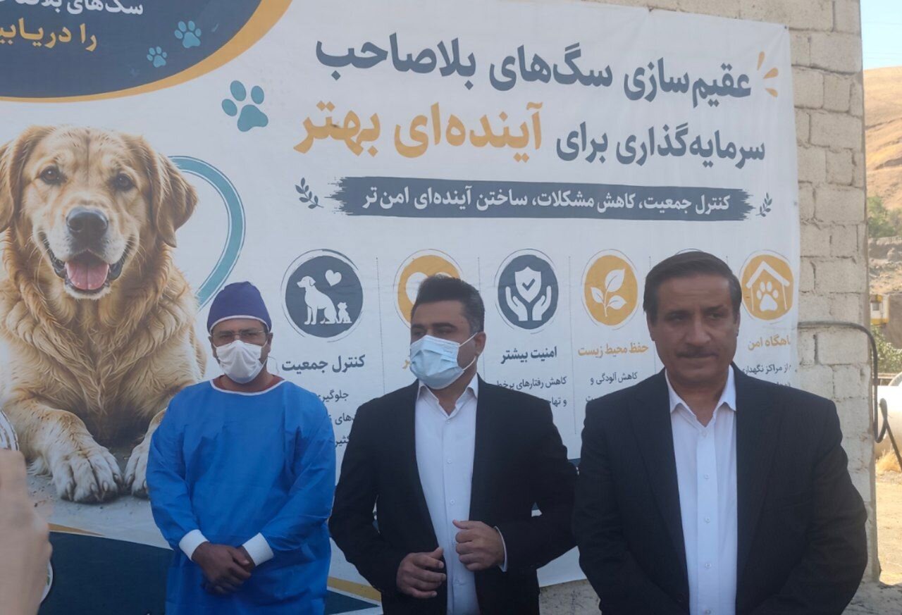 ۸۰۵ سگ در سنندج زنده گیری شد؛ لزوم آموزش شهروندان در مواجهه با سگ‌ها
