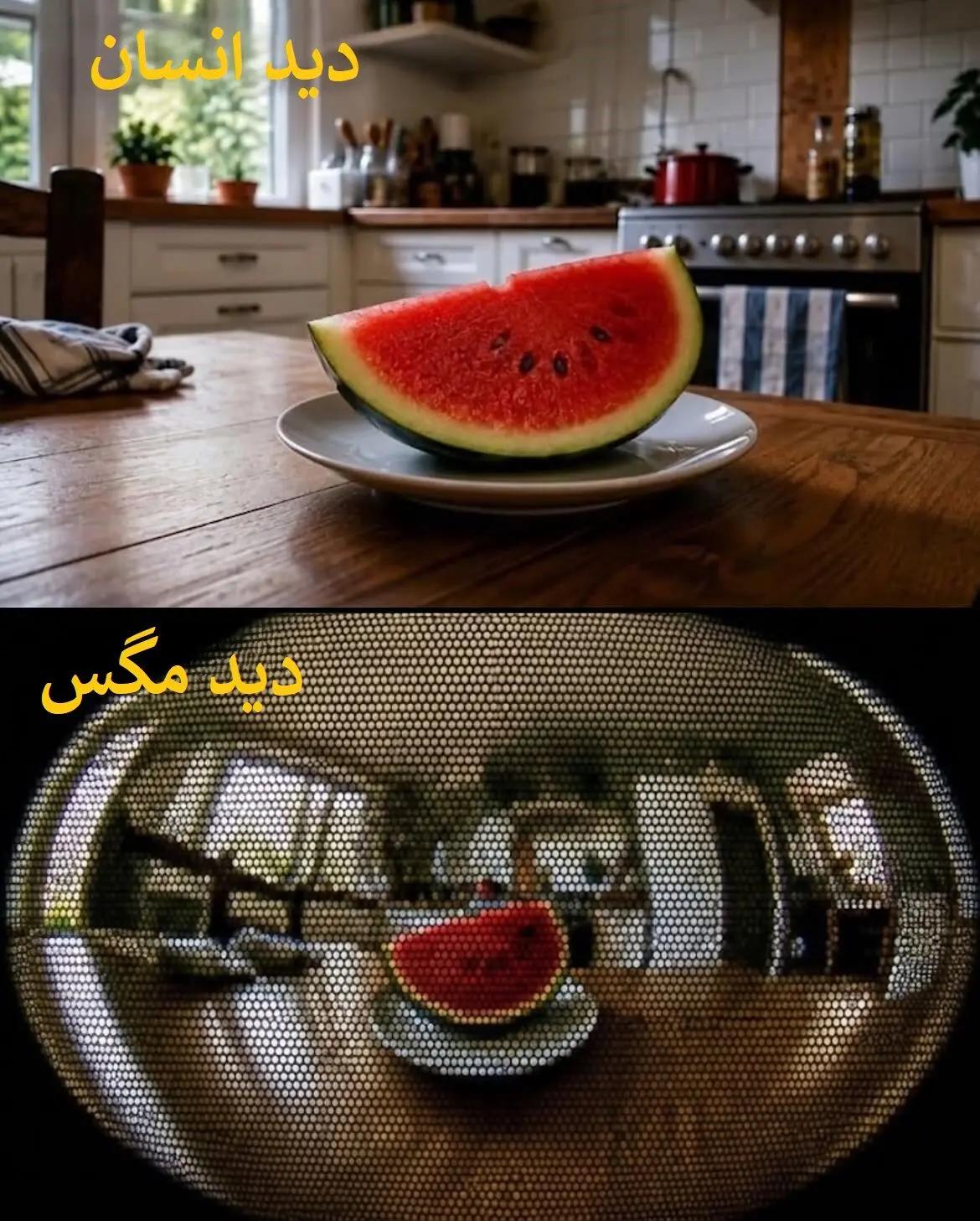 عصر کرد