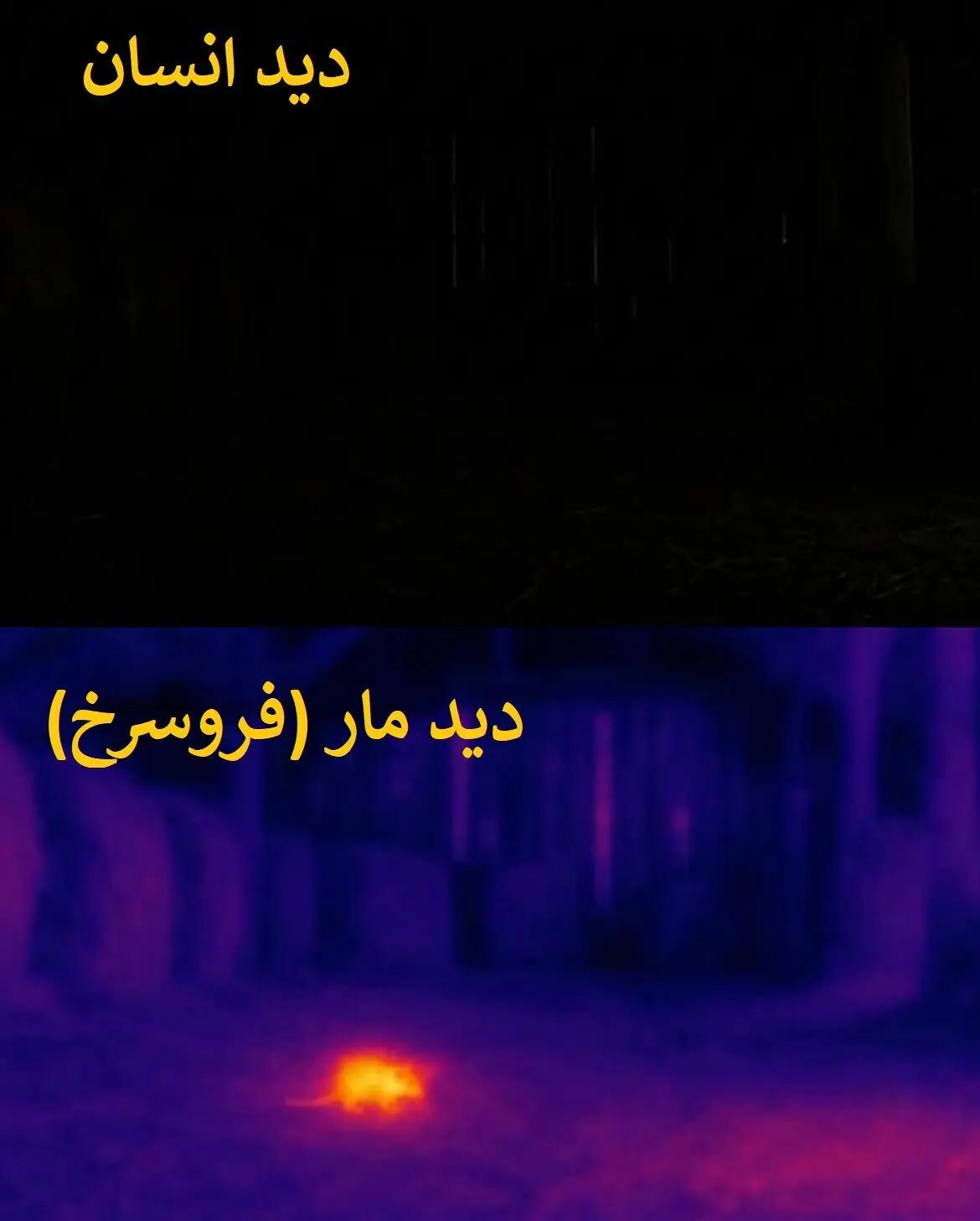عصر کرد