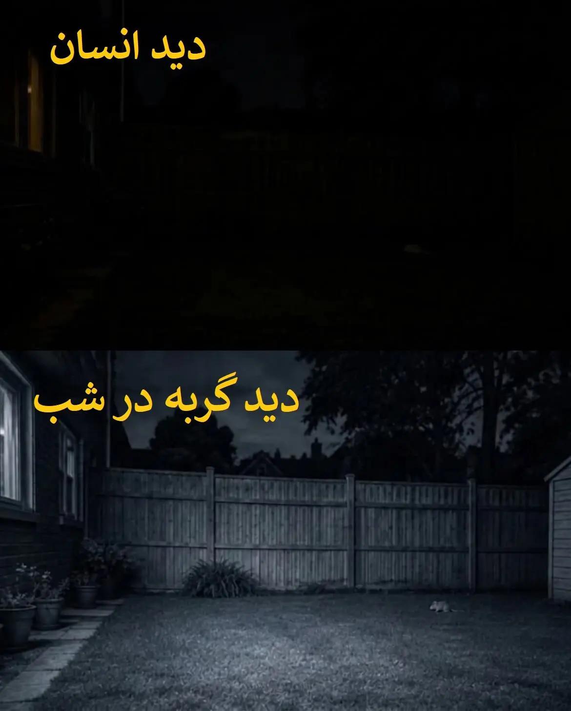 عصر کرد