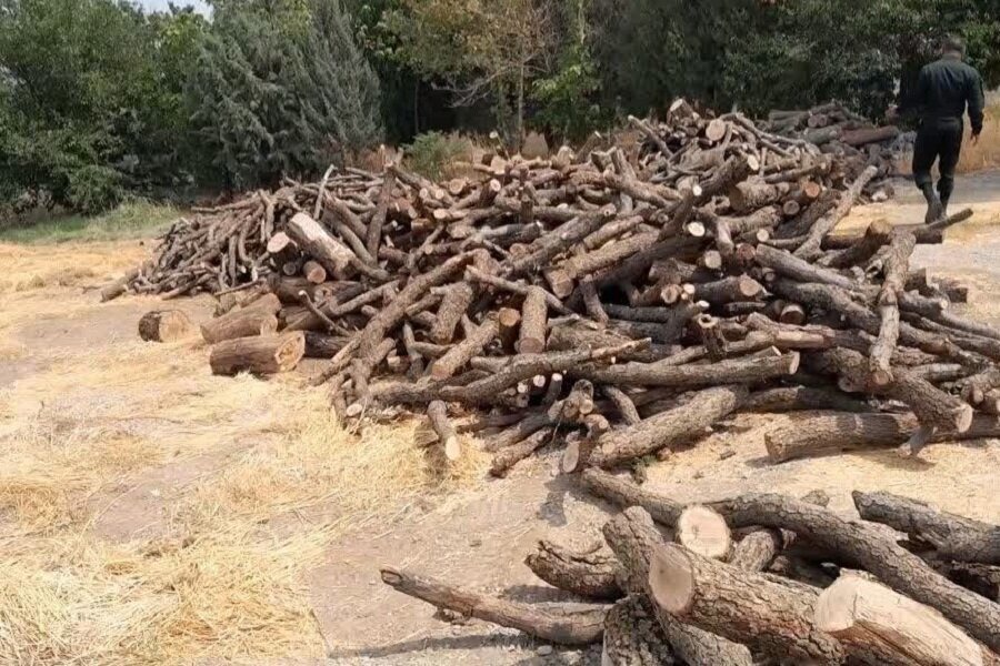 سرفیروزآباد زیر ذره‌بین حفاظت منابع طبیعی کرمانشاه