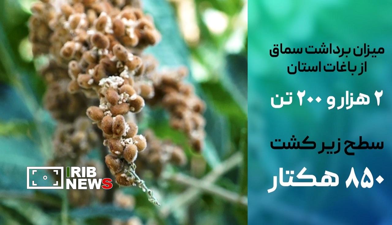 عصر کرد