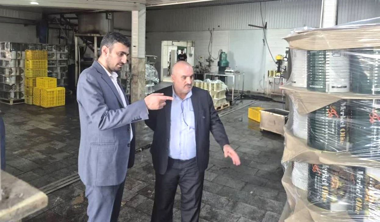 اخطار دادستان رودبار به واحد‌های فرآوری زیتون شهرستان
