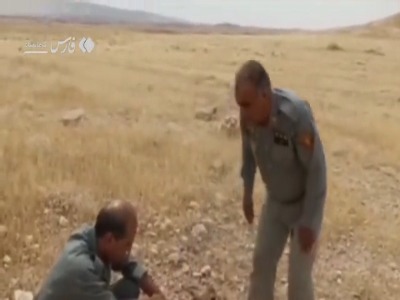 فیلم/ آهوی زخمی پس از یک ماه درمان به طبیعت قصرشیرین بازگشت