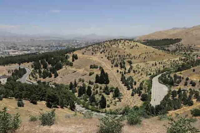 جلیلیان: طرح جنگلداری اجتماعی امسال در پاوه اجرا می‌شود
