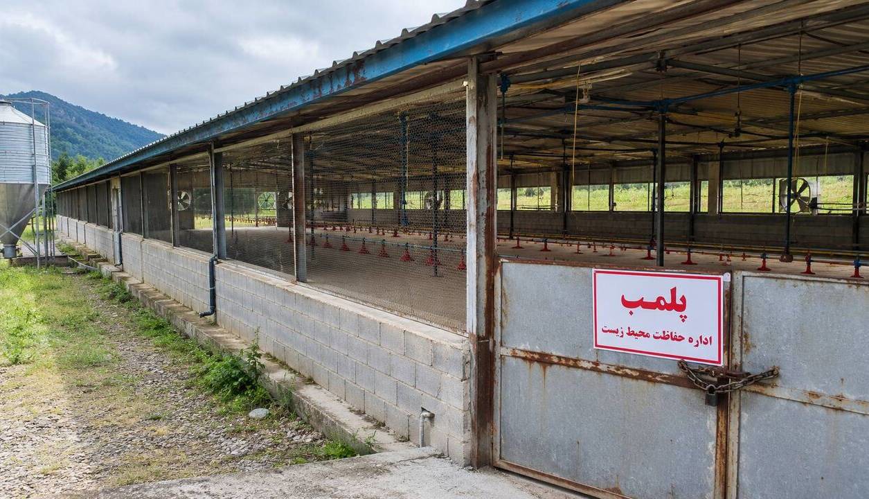 پلمب یک واحد مرغداری متخلف در شرق گیلان