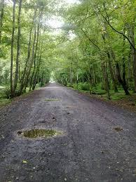 ساماندهی آب‌های سطحی پارک جنگلی نور