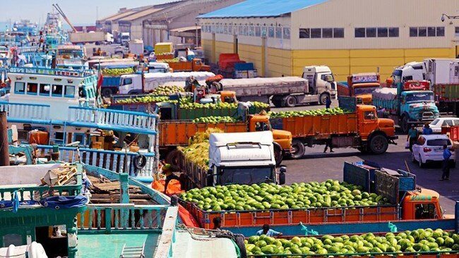 صادرات محصولات گلخانه‌ای سیستان و بلوچستان به کشورهای همسایه