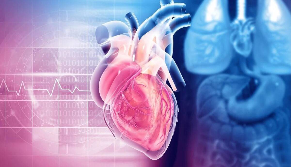 الماسی کوچک‌تر از دانه برنج؛ حسگری تازه برای پایش دقیق قلب