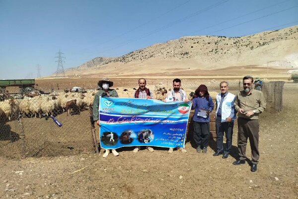 اردوی جهادی دامپزشکی به یاری عشایر دالاهو رفت