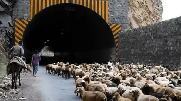 انسداد محور کندوان برای عبور احشام ۱۳ و ۲۰ مهر