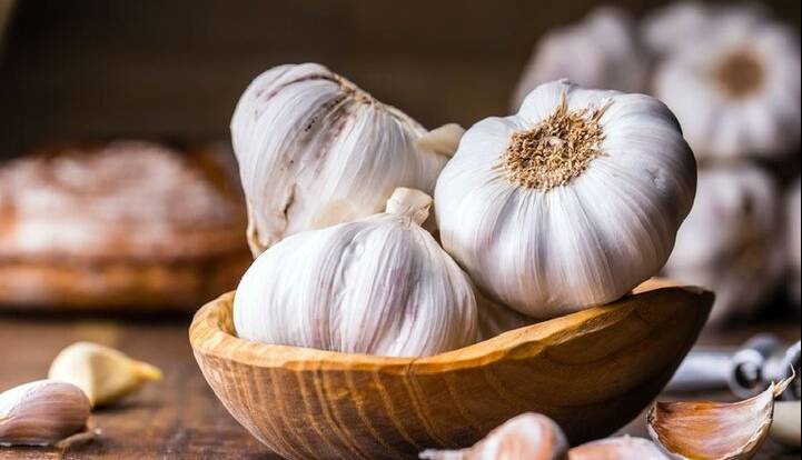 بررسی بالینی اثر عصاره سیر در درمان عفونت پاپیلومای انسانی