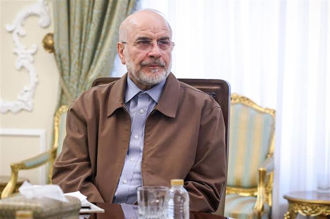 دیدار رئیس مجلس شورای اسلامی با رهبر انقلاب
