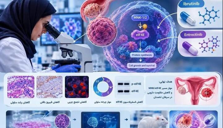 امید تازه پژوهشگران برای هدف‌گیری مسیر مولکولی مقاومت سرطان تخمدان به شیمی‌درمانی